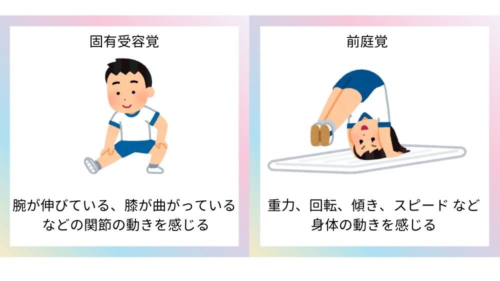 2感である固有受容覚と前庭覚の説明