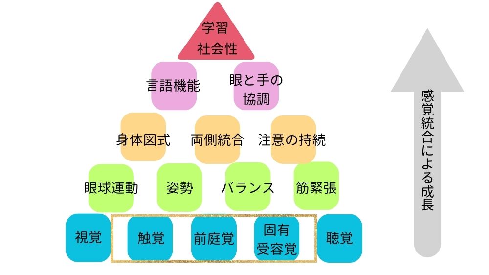 感覚統合のピラミッド